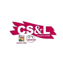 logo  CSeL